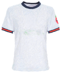 Impasto paint rendering of Bolton Wanderers home kit