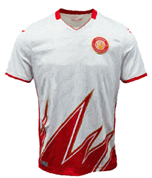 Impasto paint rendering of Stevenage home kit